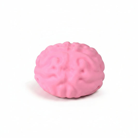 Squishy Brain Toy